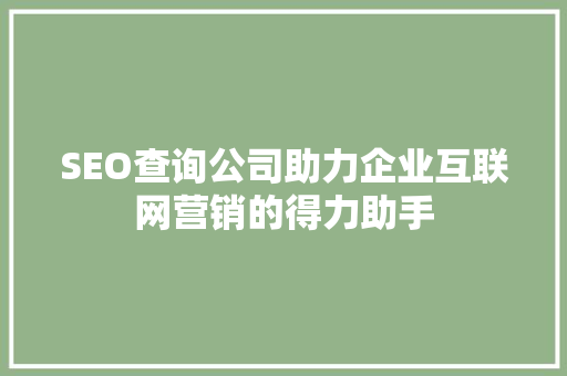 SEO查询公司助力企业互联网营销的得力助手