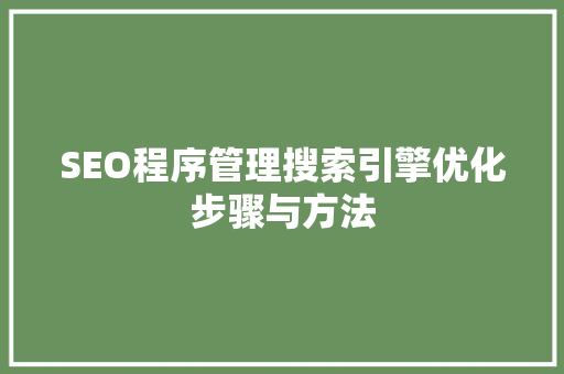 SEO程序管理搜索引擎优化步骤与方法