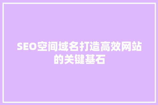 SEO空间域名打造高效网站的关键基石