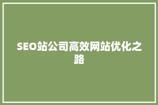 SEO站公司高效网站优化之路