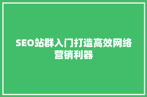 SEO站群入门打造高效网络营销利器