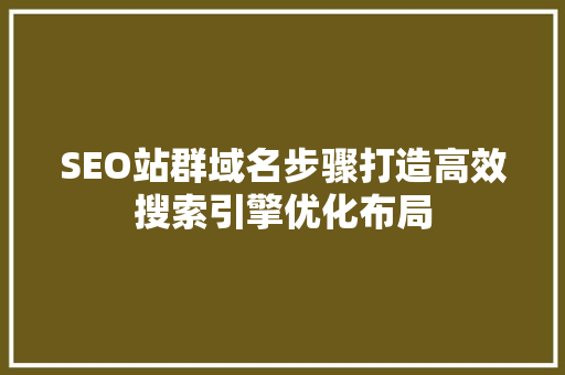 SEO站群域名步骤打造高效搜索引擎优化布局