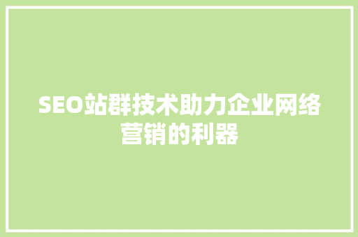 SEO站群技术助力企业网络营销的利器