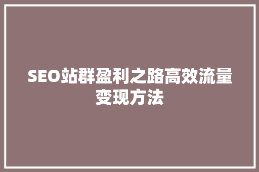 SEO站群盈利之路高效流量变现方法