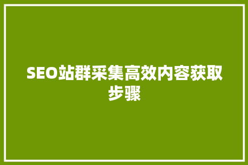 SEO站群采集高效内容获取步骤