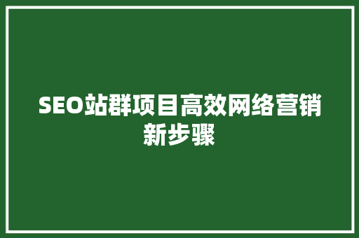 SEO站群项目高效网络营销新步骤