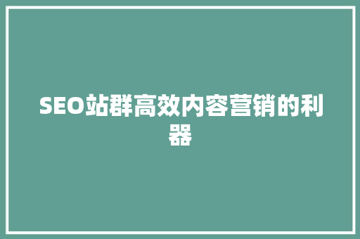 SEO站群高效内容营销的利器