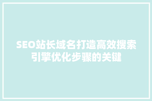 SEO站长域名打造高效搜索引擎优化步骤的关键