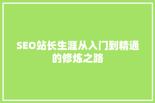 SEO站长生涯从入门到精通的修炼之路