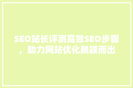 SEO站长评测高效SEO步骤，助力网站优化脱颖而出