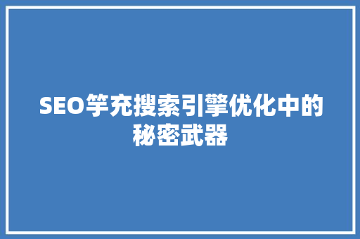 SEO竽充搜索引擎优化中的秘密武器