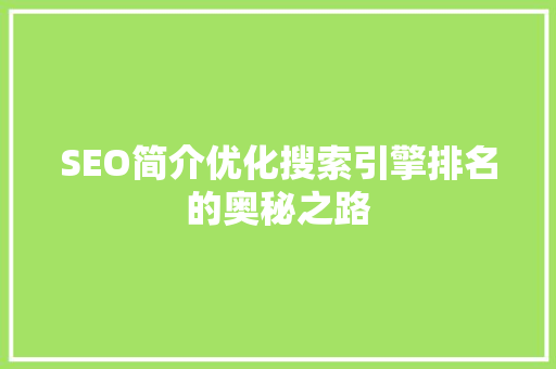 SEO简介优化搜索引擎排名的奥秘之路