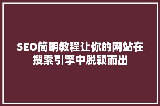 SEO简明教程让你的网站在搜索引擎中脱颖而出