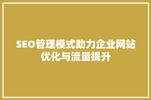 SEO管理模式助力企业网站优化与流量提升