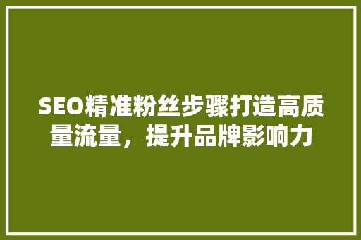 SEO精准粉丝步骤打造高质量流量，提升品牌影响力