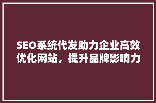 SEO系统代发助力企业高效优化网站，提升品牌影响力