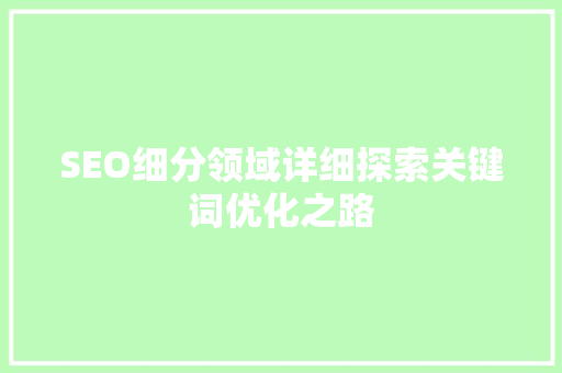 SEO细分领域详细探索关键词优化之路