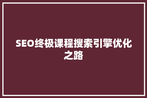 SEO终极课程搜索引擎优化之路