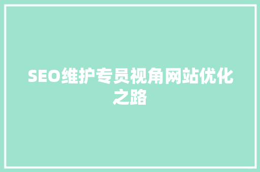 SEO维护专员视角网站优化之路