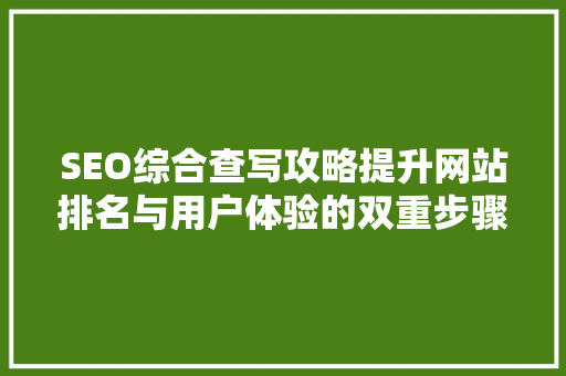 SEO综合查写攻略提升网站排名与用户体验的双重步骤