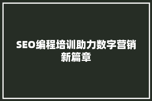 SEO编程培训助力数字营销新篇章