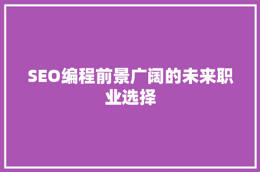 SEO编程前景广阔的未来职业选择