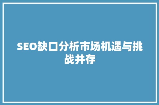 SEO缺口分析市场机遇与挑战并存