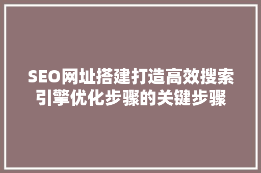 SEO网址搭建打造高效搜索引擎优化步骤的关键步骤