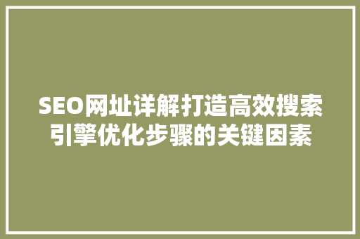 SEO网址详解打造高效搜索引擎优化步骤的关键因素