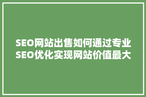 SEO网站出售如何通过专业SEO优化实现网站价值最大化