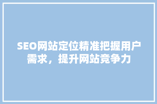 SEO网站定位精准把握用户需求，提升网站竞争力