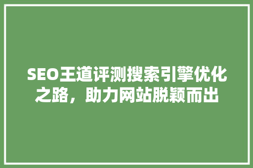 SEO王道评测搜索引擎优化之路，助力网站脱颖而出