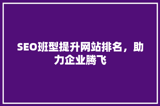 SEO班型提升网站排名，助力企业腾飞