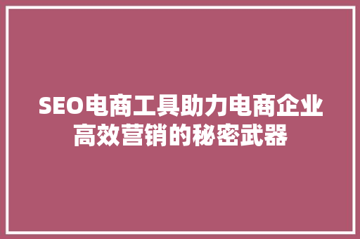 SEO电商工具助力电商企业高效营销的秘密武器