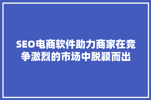 SEO电商软件助力商家在竞争激烈的市场中脱颖而出