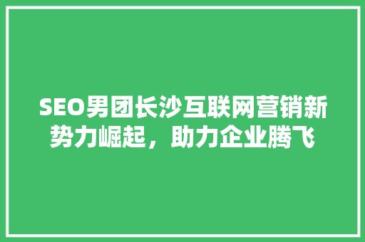 SEO男团长沙互联网营销新势力崛起，助力企业腾飞