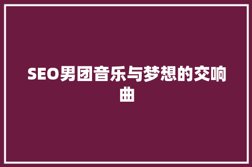 SEO男团音乐与梦想的交响曲