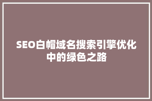 SEO白帽域名搜索引擎优化中的绿色之路