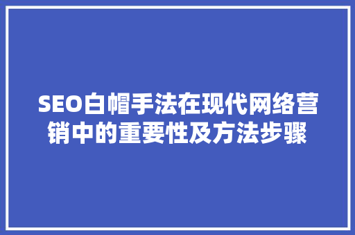 SEO白帽手法在现代网络营销中的重要性及方法步骤