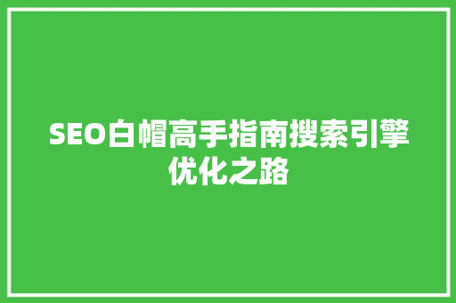 SEO白帽高手指南搜索引擎优化之路