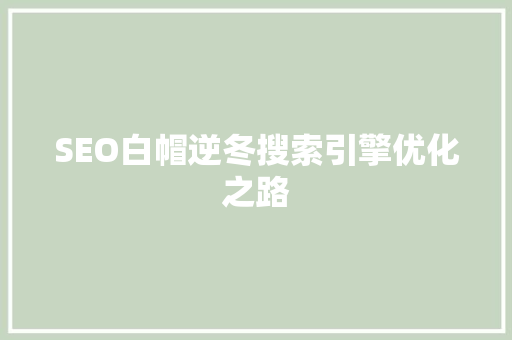 SEO白帽逆冬搜索引擎优化之路