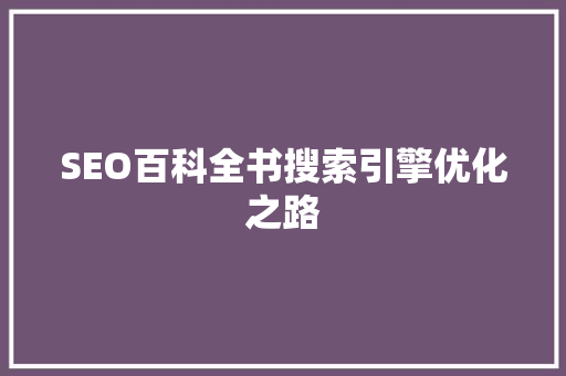 SEO百科全书搜索引擎优化之路