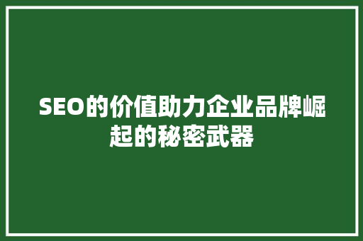 SEO的价值助力企业品牌崛起的秘密武器