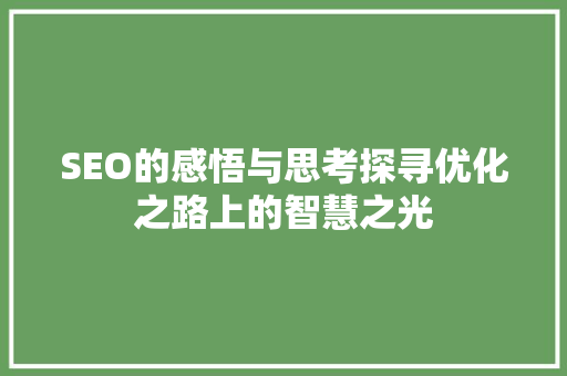 SEO的感悟与思考探寻优化之路上的智慧之光