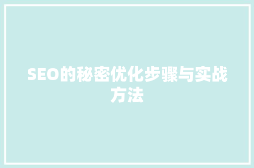 SEO的秘密优化步骤与实战方法