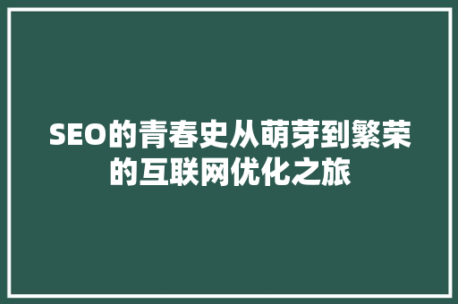 SEO的青春史从萌芽到繁荣的互联网优化之旅