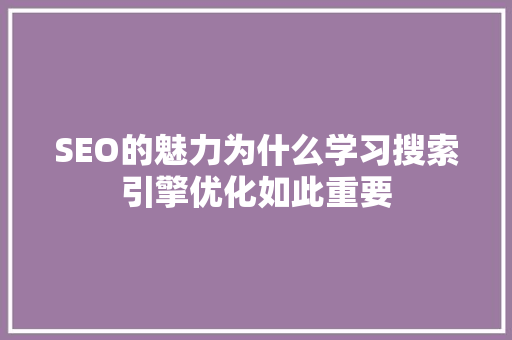 SEO的魅力为什么学习搜索引擎优化如此重要