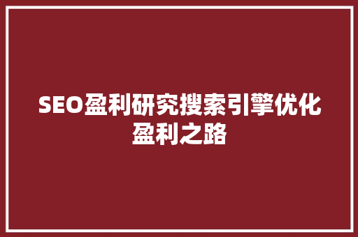 SEO盈利研究搜索引擎优化盈利之路