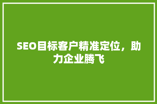 SEO目标客户精准定位，助力企业腾飞