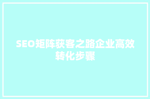 SEO矩阵获客之路企业高效转化步骤